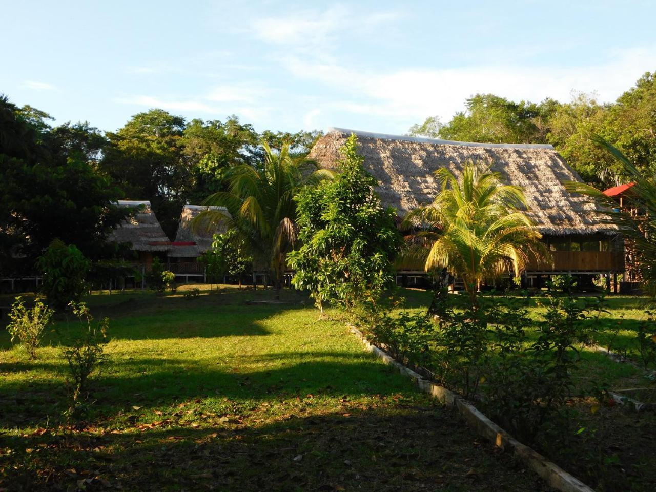 Intillama Jungle Lodge Eirl Paucarpata  Екстер'єр фото